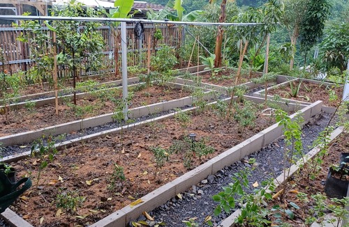Pancawati House | OMAHKAYU