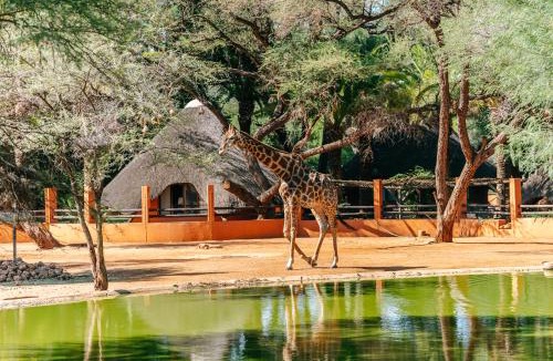Omaruru Hotel | Omaruru Game Lodge