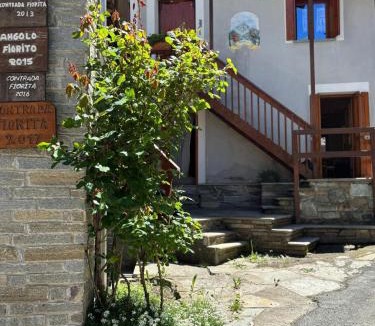 Crissolo Apartment | OmniViso