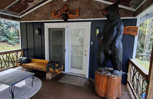 Penrose Cabin | On Babbling Brook - Hot Tub - Grill - Fireplace - WiFi - Fenced - Pets OK