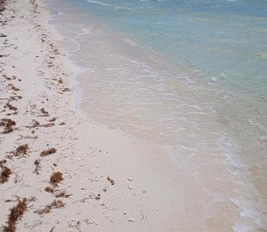 Bahamia West Apartment | One bedroom on Atlantic waters with dock n boat access