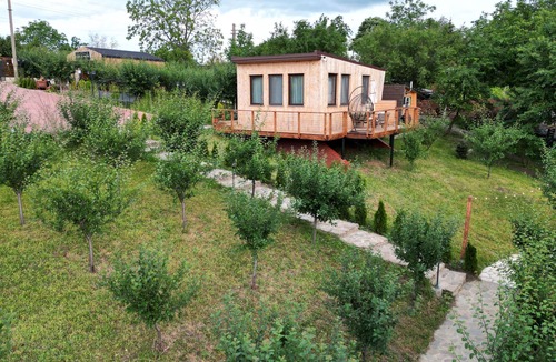 Fantanele Cabin | One-Bedroom Studio Cabin in Dealu Mare