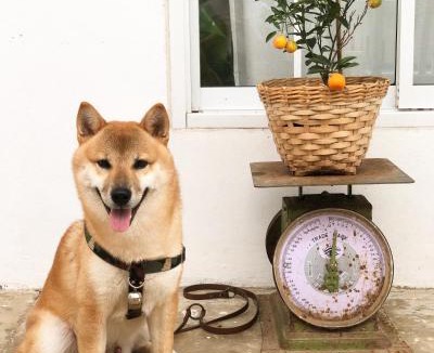 Laem Sing House | One Chan Farmstay