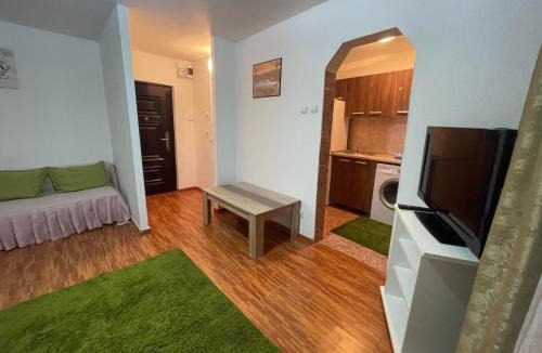 Sector 2 Apartment | One Room Apartment Ptm