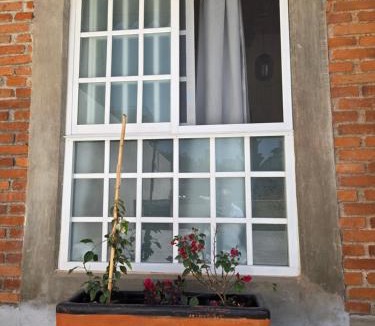 Ojo de Agua House | Onenki