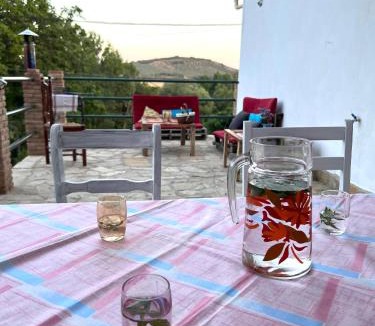 Tozar Hostel | Open Mind Hostel