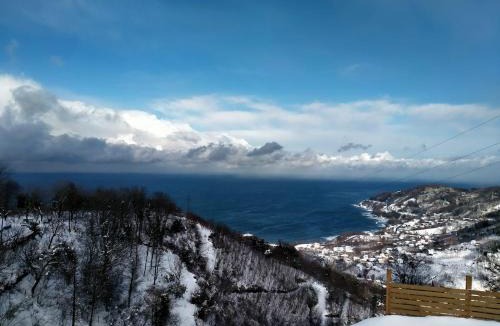 Persembe Ski Chalet | Opera Bungalov 2