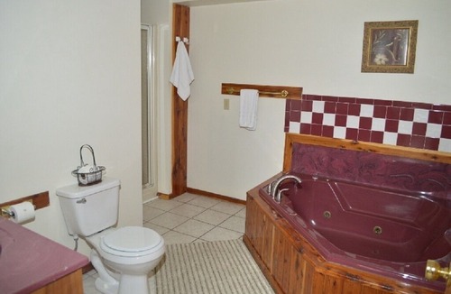 Eckerty Cabin | Optimum cabin 9 with jacuzzi and HOT TUB on Patoka Lake in Southern Indiana