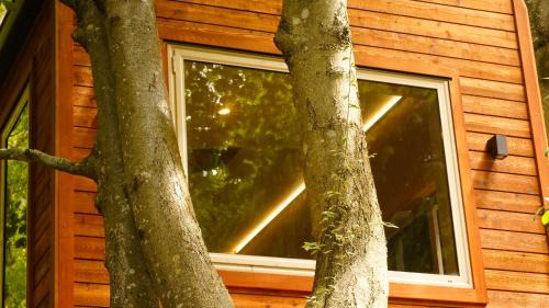 Sunshine Bay Cabin | Ora Retreat