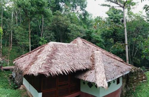 Bukit Lawang Cabin | Orangutan Bungalow