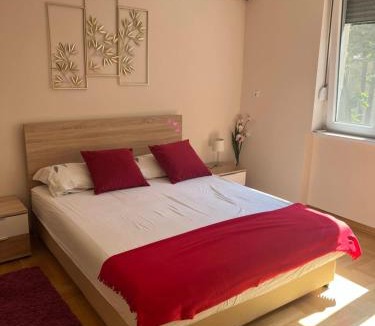 Palilula Apartment | Orchid House