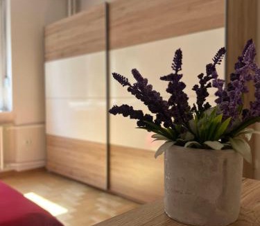 Palilula Apartment | Orchid House
