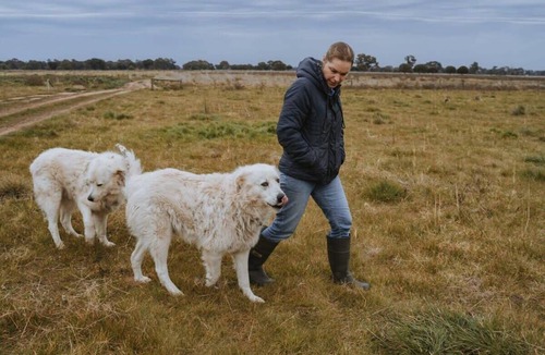 Mundoona House | Organic Farm Stay by Tiny Away