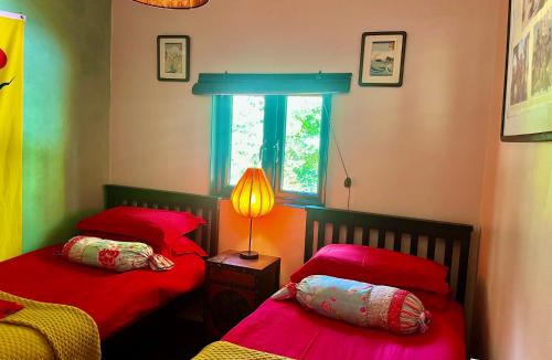 Exeter Apartment | Orient House