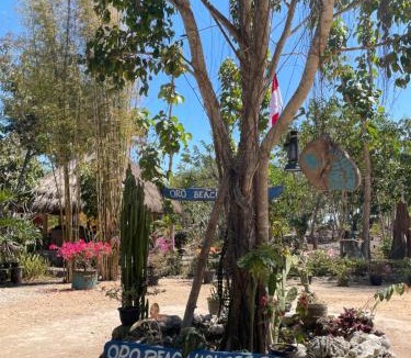 Tambolaka Bed & Breakfast | Oro Beach Houses