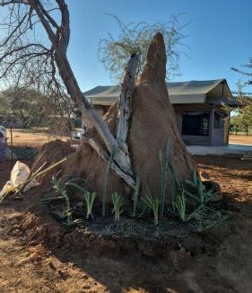 Damaraland Other | Orpheus Camping
