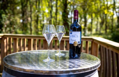 Saint-Vivien-de-Medoc Apartment | Otonneauxstress - Vigneron