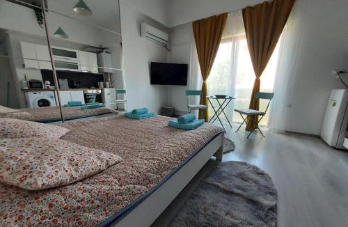 Otopeni Apartment | Otopeni Studio Airport Therme C1A4