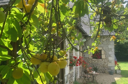 Honfleur House | Our 17th century Barn converted into a relaxed, bohemian home.