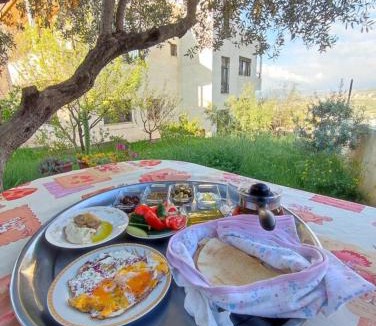 Jerash Bed & Breakfast | Our Villa's Pine Cottage - HQ Budget Stay - Wonderful horizon view of Jerash