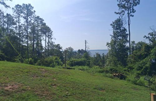 Shorterville House | Overlooking Lake Eufaula Alabama PERFECT PRIVATE GETAWAY COTTAGE FOR COUPLES FISHERMAN-FRIENDS located in a private gated community bring the golf cart many paved roads and boat parkingt BOAT DOCK NEAR and community fishing pier and beach