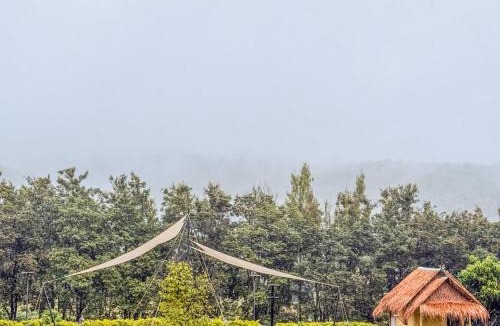 Nong Nam Daeng Resort | Ozone Valley Camp Khaoyai