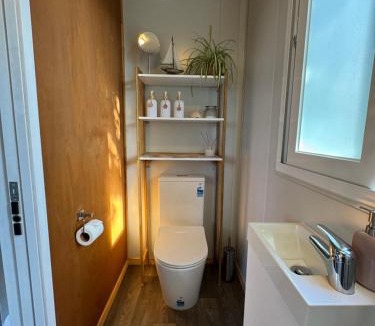 Tauranga House | Pōhutukawa Studio