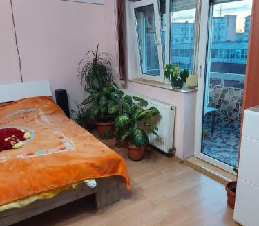 Oradea House | P1 Hostel Free Parking