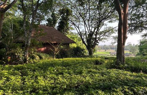 Mae Kon Resort | Pa Sak Tong