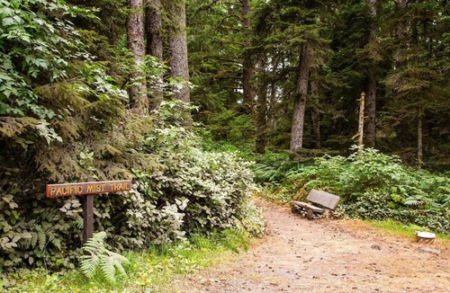 Cloverdale Cabin | Pacific City RV & Camping Resort