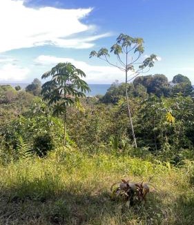 Uramba National Park House | Pacific Dream Eco-Hostal