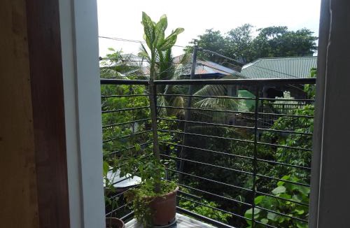 Basdiot Hotel | Pacifico Seaside Lodge