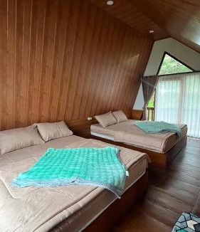 Dieng Villa | Padangsari Cabin House