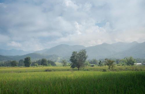 Pai House | Paddy Fields Haven - Natures Nest, Mountain View in Pai