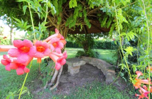 Bucine Villa | Pagliazzone