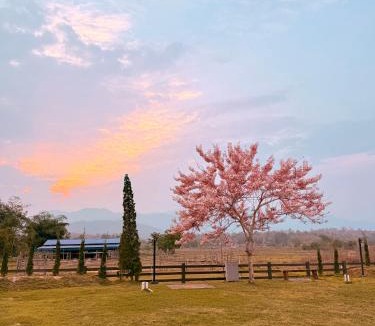 Pai Resort | PAI LAMUN VALLEY