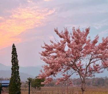 Pai Resort | PAI LAMUN VALLEY