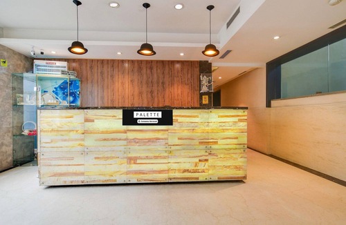 Palasia House | Palette Sapphire Star
