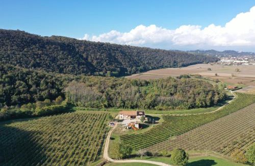 Magugnano Apartment | Palladio Vineyard
