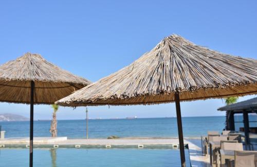 Sinop Hotel | Palm Garden