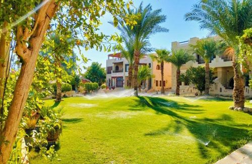 Tunis Village Hotel | palm shadow resort