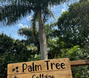 Richards Bay Apartment | Palm Tree Cottage Felixton