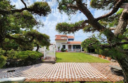 Seogwipo City Villa | Palm Tree Villa