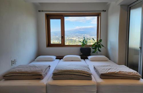 Seogwipo City Villa | Palm Tree Villa