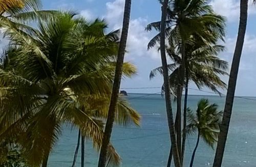 Laborie House | Palm View