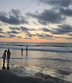 Monitos Hotel | PalMar Ecolodge