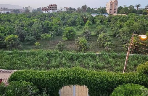 Luxor Hotel | Panorama Hotel