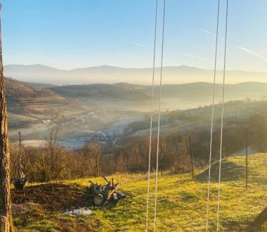 Vascau Other | Panorama Lupilor