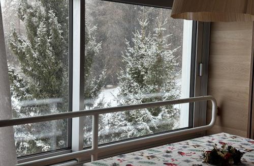 Marilleva Apartment | Panorama Marilleva 1400 - Val di Sole