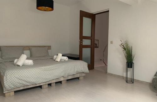 Sibiu Apartment | Panoramic Apartament